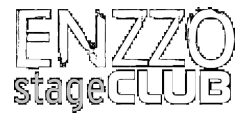 enzzo-life-logo-transparent